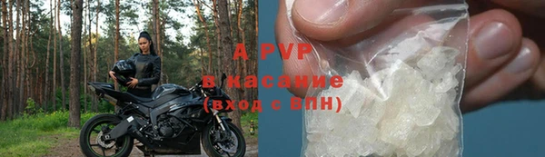 дурь Гусиноозёрск