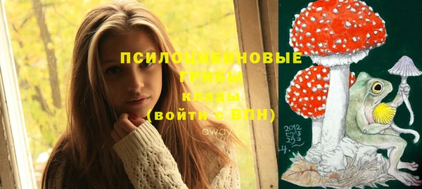 бутират Гусев